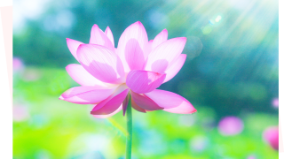 「私」の才能・使命・ギフトの答え合わせ