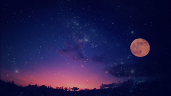 乙女座太陽期へ入りました！